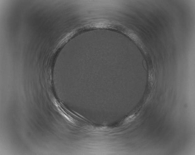 X0000078840397200611131154