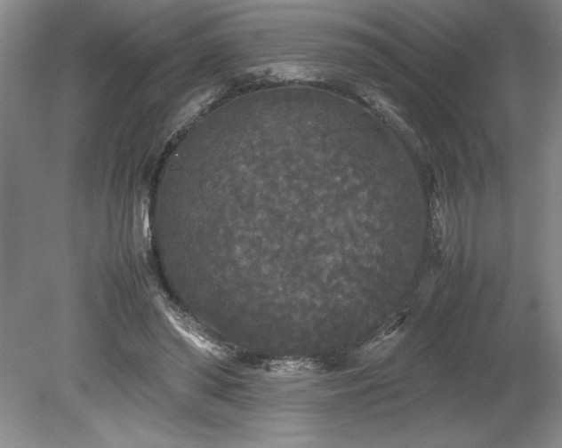 X0000078840398200611131154