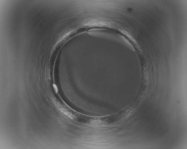 X0000078840399200611131154