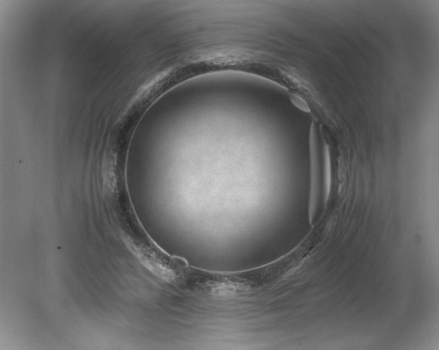 X0000078840400200611131154