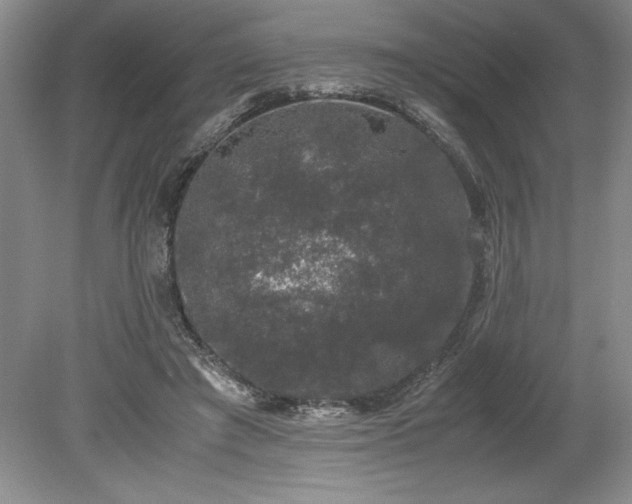 X0000078840401200611131154