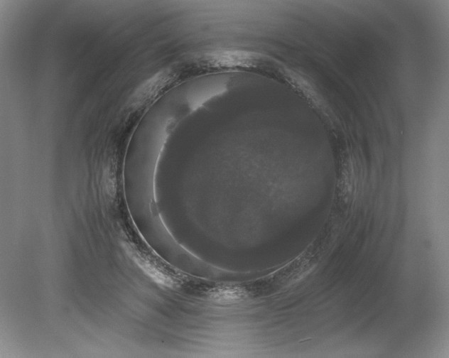 X0000078840402200611131154