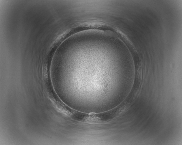 X0000078840403200611131154