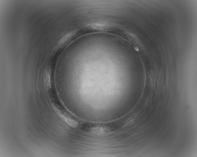 X0000078840404200611131154