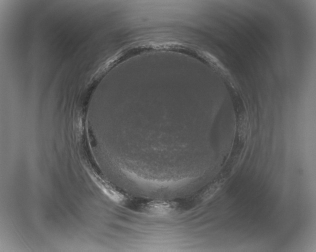 X0000078840405200611131154