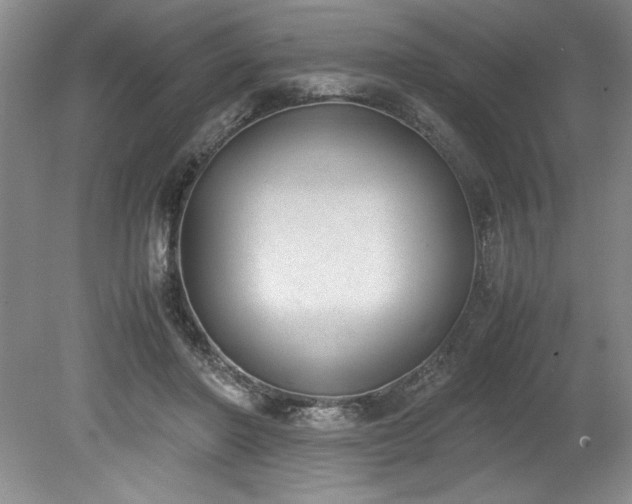 X0000078840406200611131154