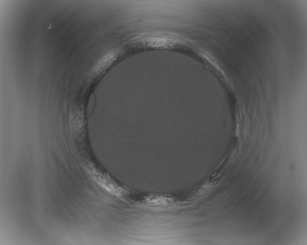 X0000078840407200611131154