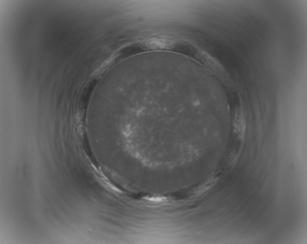 X0000078840409200611131154