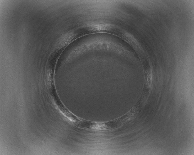 X0000078840410200611131154