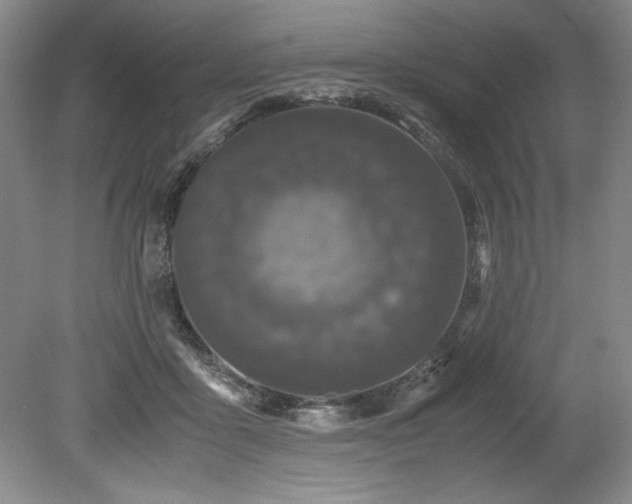 X0000078840411200611131154