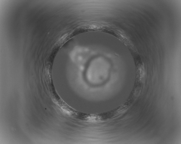 X0000078840415200611131154