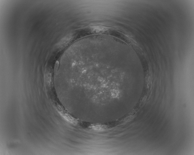 X0000078840417200611131154