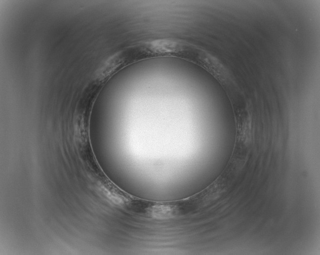 X0000078840418200611131154