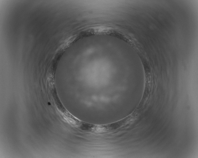 X0000078840419200611131154