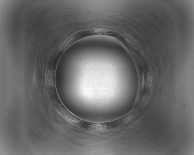 X0000078840421200611131154