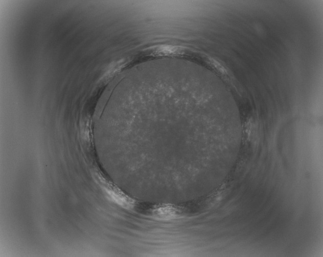 X0000078840423200611131153