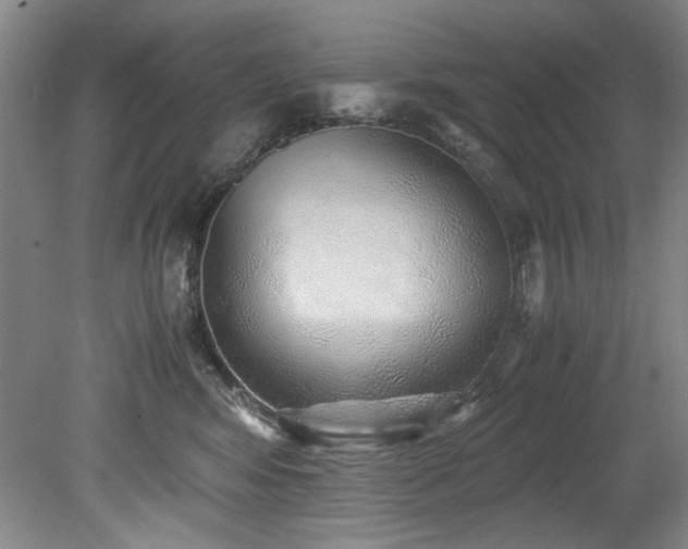 X0000078840424200611131153