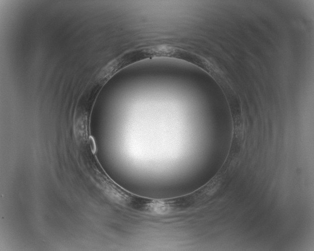 X0000078840425200611131153