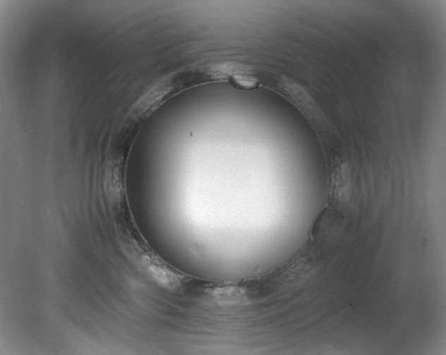 X0000078840426200611131153