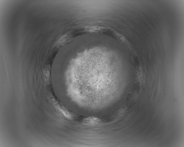 X0000078840427200611131153