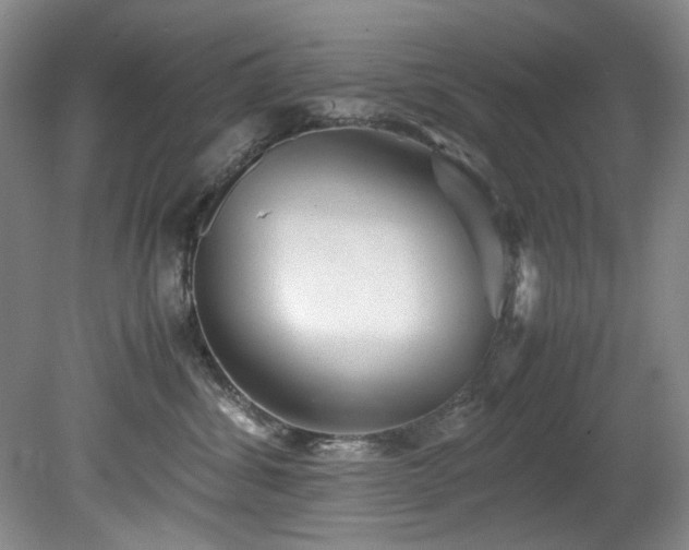 X0000078840428200611131153