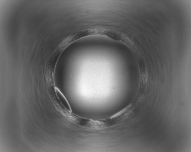 X0000078840429200611131153