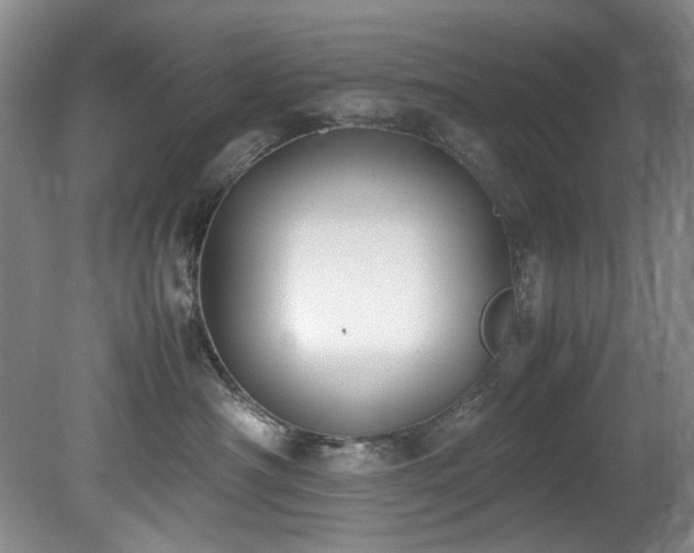 X0000078840430200611131153