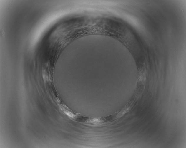 X0000078840431200611131153