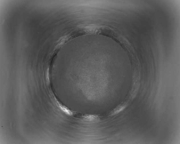 X0000078840432200611131153