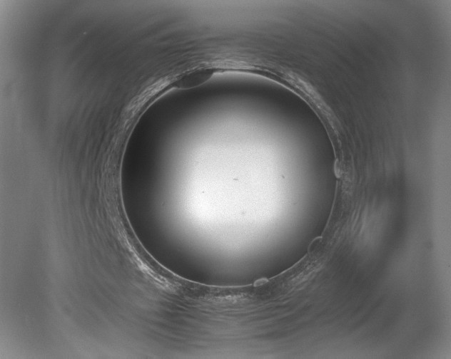 X0000078840433200611131153