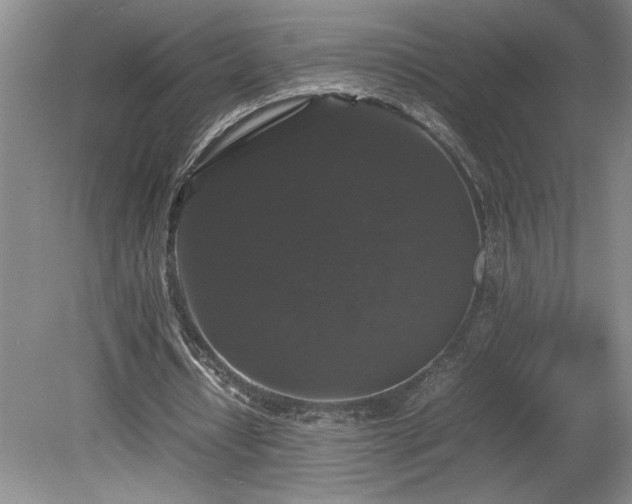 X0000078840434200611131153