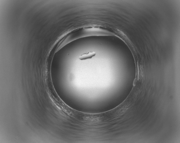 X0000078840435200611131153