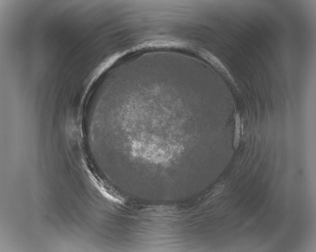 X0000078840436200611131153