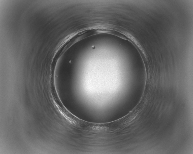 X0000078840437200611131153