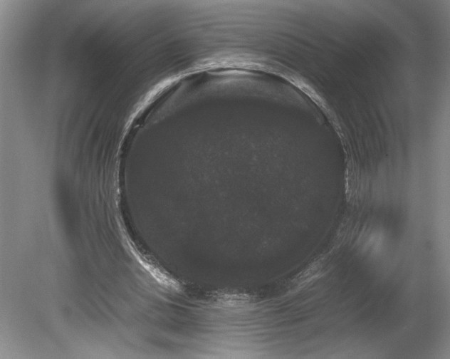 X0000078840438200611131153