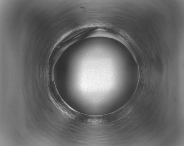 X0000078840440200611131153