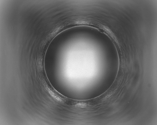 X0000078840441200611131153