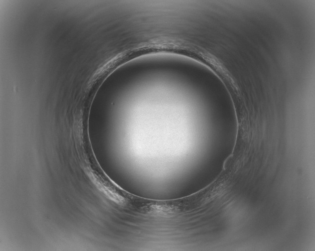 X0000078840442200611131153