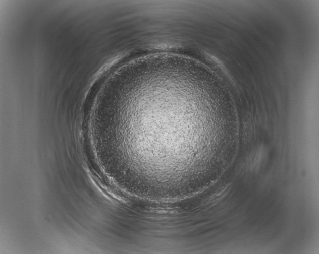 X0000078840443200611131153