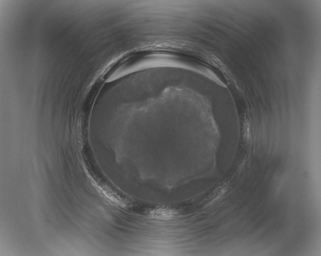 X0000078840444200611131153