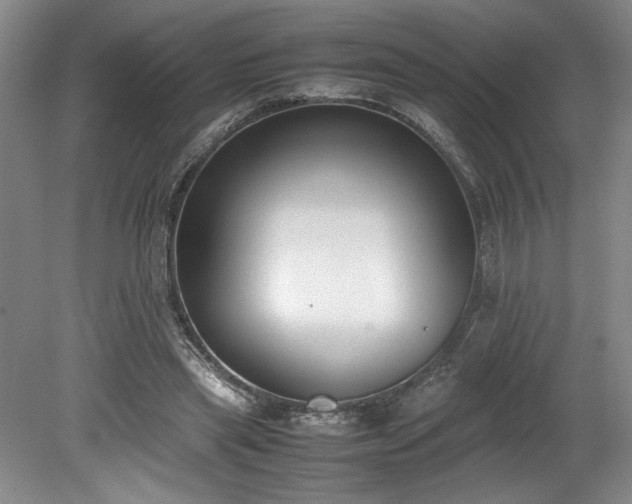 X0000078840445200611131153