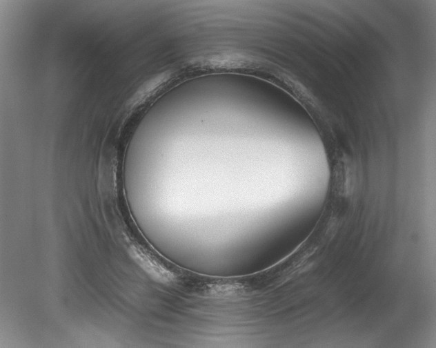 X0000078840446200611131153