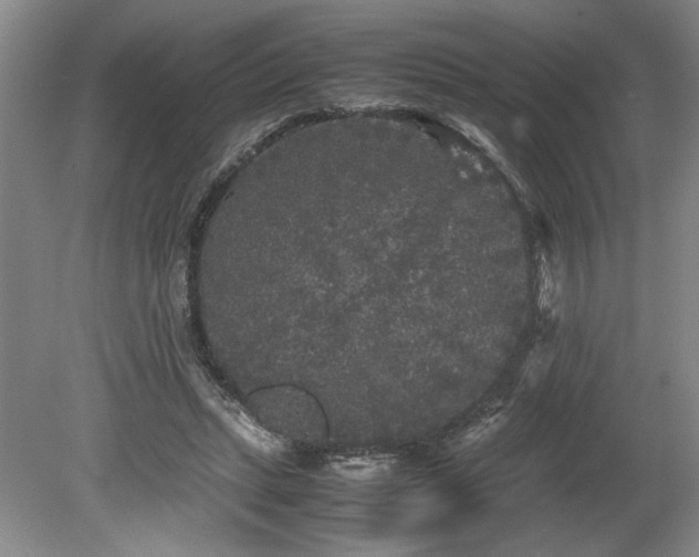 X0000078840447200611131153