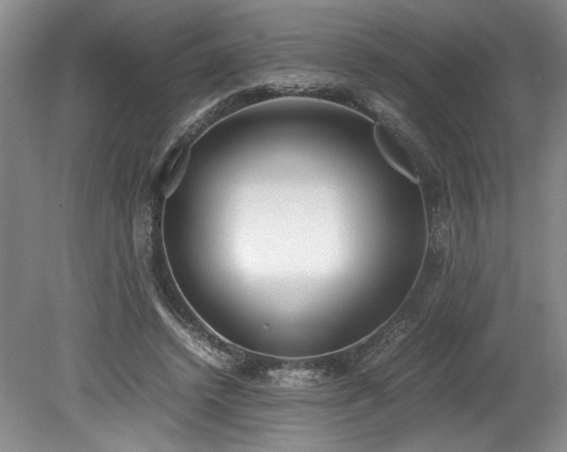 X0000078840448200611131153