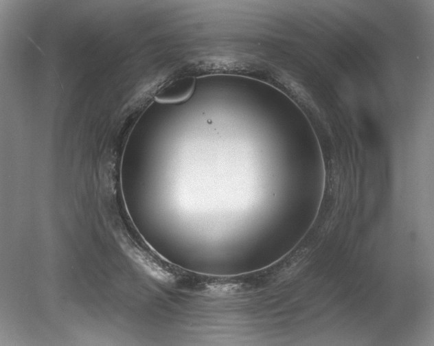 X0000078840450200611131153