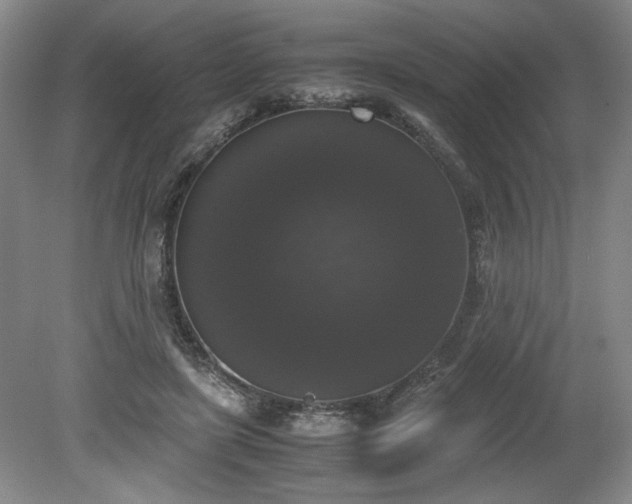 X0000078840451200611131153