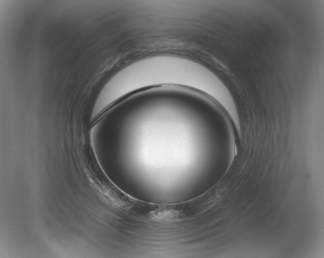 X0000078840452200611131153