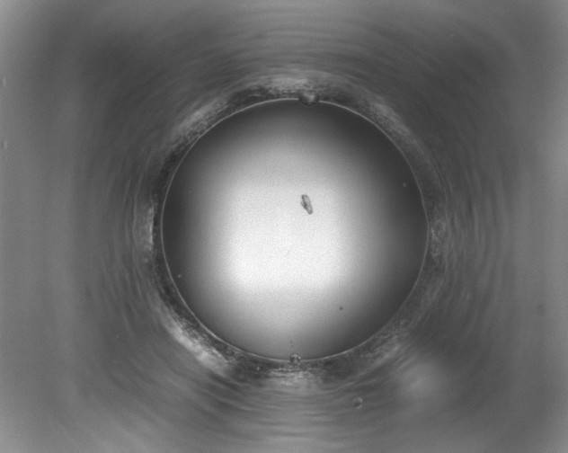 X0000078840454200611131153