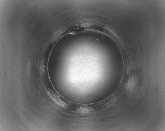 X0000078840455200611131153