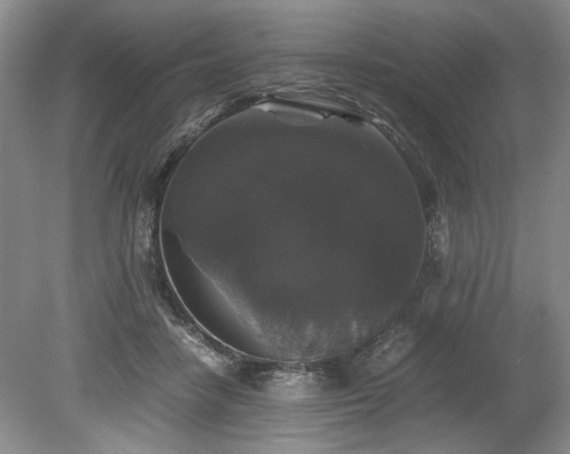 X0000078840458200611131153